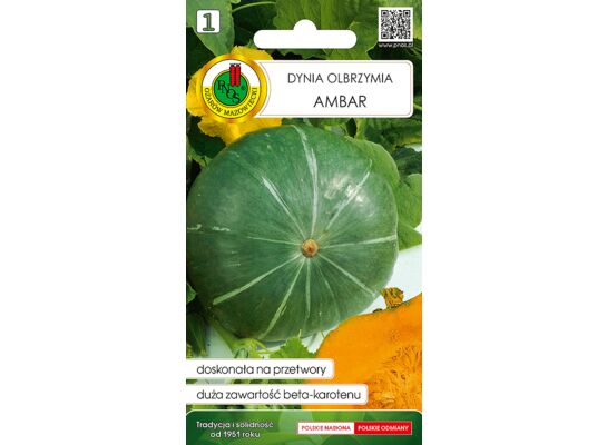 Dynia olbrzymia 'Ambar' 2 g GC 1 PNOS