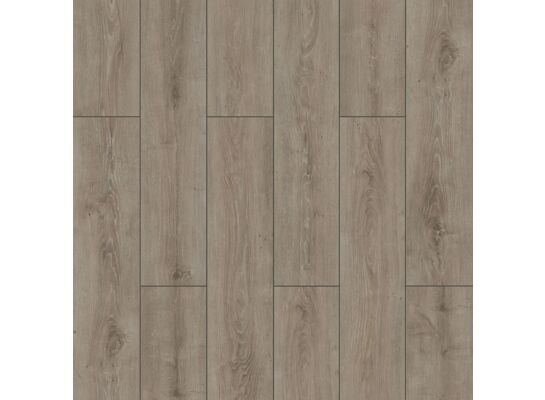 Panel podłogowy laminowany Parrot AC5 V-fuga H2O 72H 1205 x 197 x 8 mm KASTAMONU