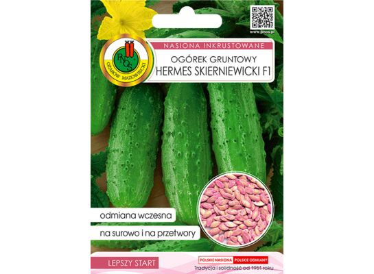 Ogórek gruntowy Hermes skierniewicki F1 inkrustowany 5 g GC inkrust PNOS