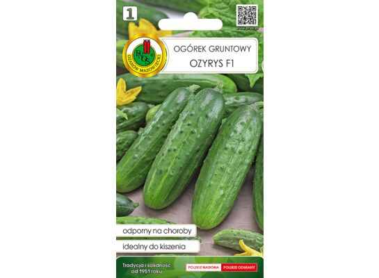 Ogórek gruntowy Ozyrys F1 2 g GC 1 PNOS