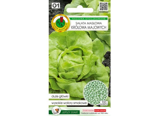 Sałata głowiasta masłowa królowa majowych 100 ziaren OT GC O1 PNOS