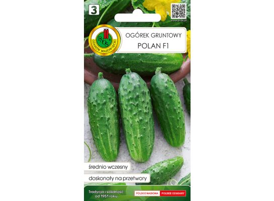 Ogórek gruntowy Polan F1 2 g GC 3 PNOS