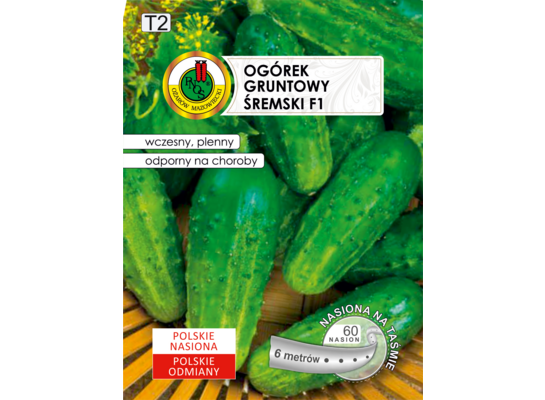 Ogórek gruntowy śremski F1 6 m GC T2 PNOS