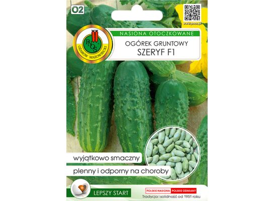 Ogórek gruntowy Szeryf F1 50 ziaren OT GC O2 PNOS