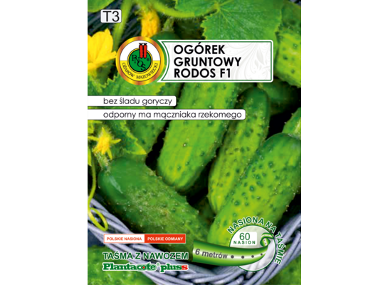 Ogórek gruntowy Rodos F1 z nawozem 6 m GC T3 PNOS