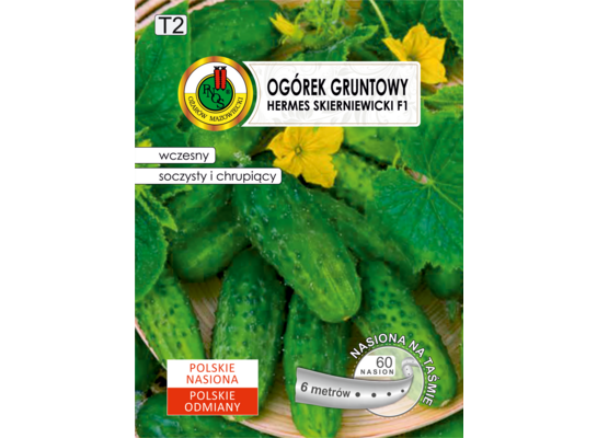 Ogórek gruntowy Hermes skierniewicki F1 6 m GC T2 PNOS
