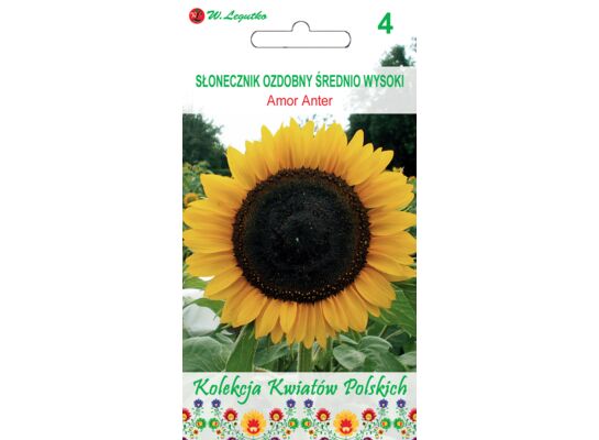Kwiaty Polskie słonecznik ozdobny 2 g W. Legutko