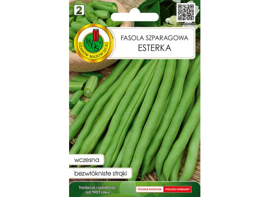 Fasola szparagowa zielona karłowa Esterka 20 g GC 2 PNOS