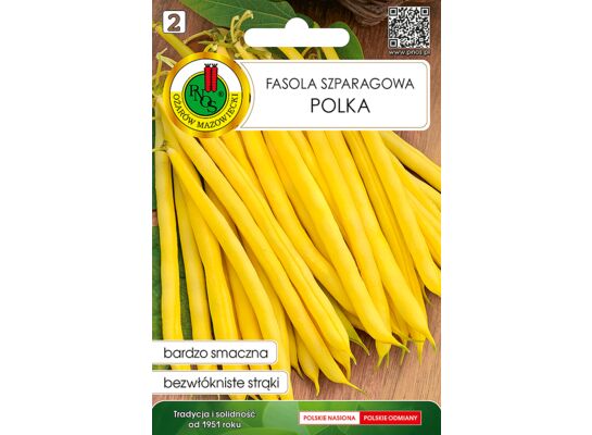 Fasola szparagowa żółta karłowa Polka 20 g GC 2 PNOS
