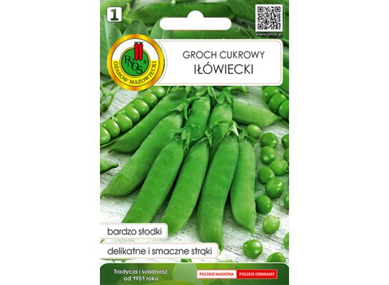 Groch cukrowy iłówiecki 20 g GC 1 PNOS
