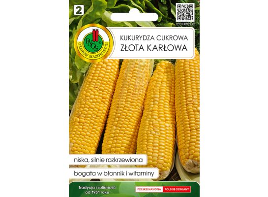 Kukurydza cukrowa złota karłowa 10 g GC 2 PNOS
