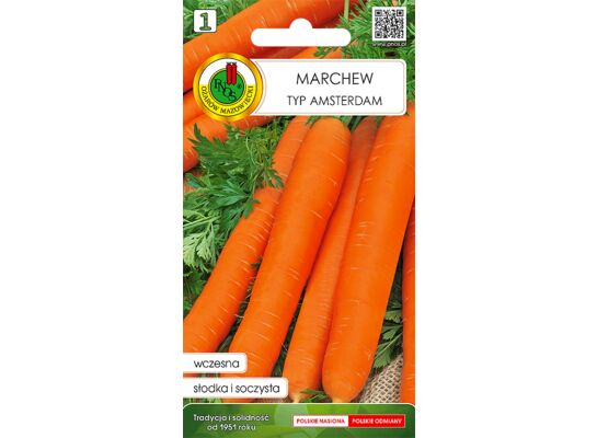 Marchew jadalna Amsterdam 2 2 g GC 1 PNOS