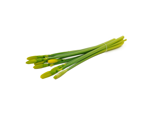 Bukiet kwiatow ciętych narcyz 10 szt.