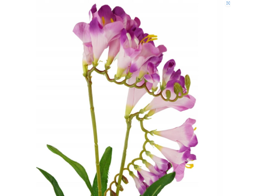 Frezja 2 kwiaty 54 cm mix kolorów