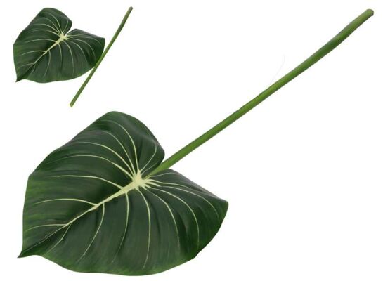 Philodendron liść 75 cm