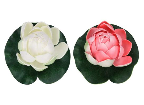 Lilia piankowa 10 cm mix kolorów