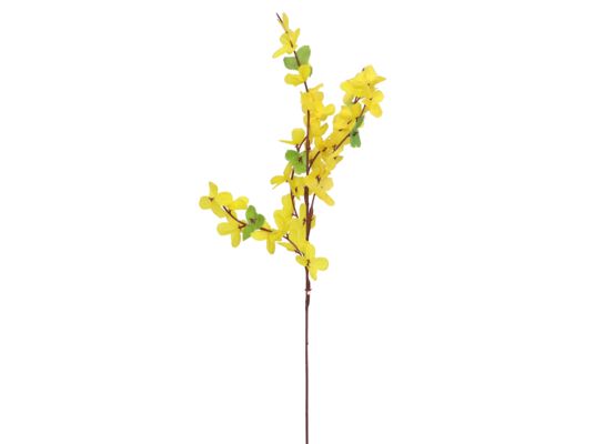 Forsycja gałązka dł. 51 cm