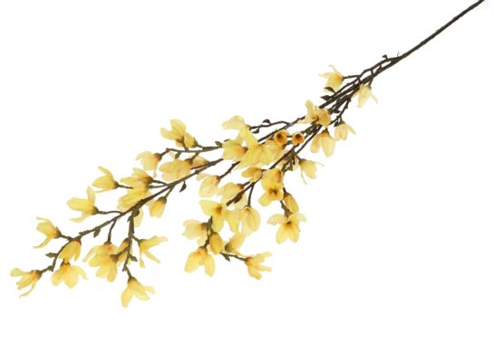 Forsycja gałązka dł. 95 cm