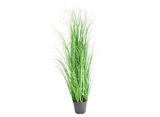 Trawa w doniczce 94 cm