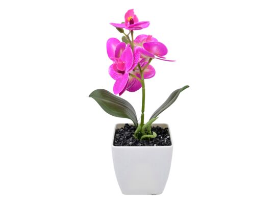 Storczyk w doniczce 28 cm różowy