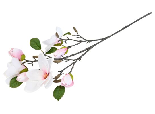 Magnolia gałązka ozdobna 90 cm biała