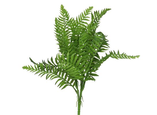 Paproć bukiet 45 cm