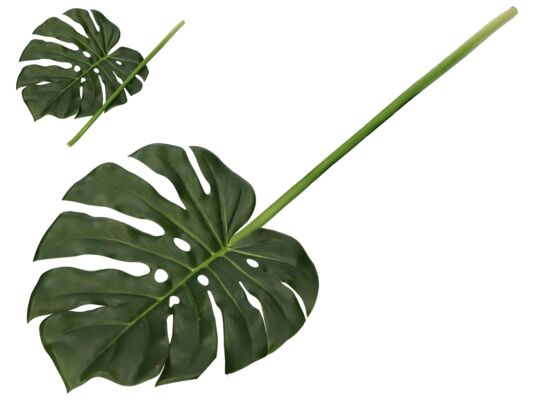 Liść monstery 75 cm