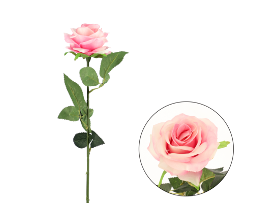 Róża pojedyncza 60 cm różowy