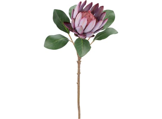 Kwiat protei 60 cm fioletowy