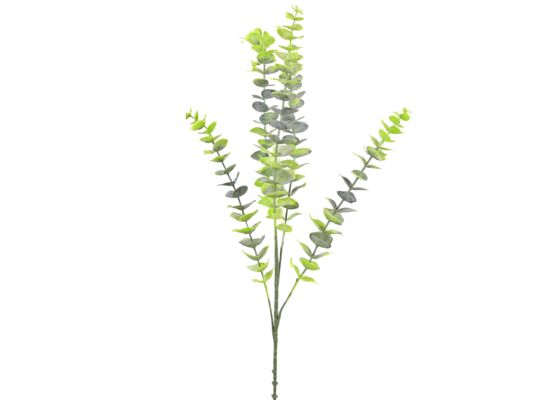 Bukiet 5 gałązek 78 cm eukaliptus