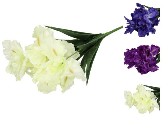 Bukiet 7 irysów mix kolorów