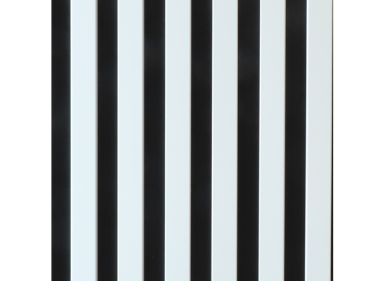 Lamele ścienne 265 x 30 biały mat 6L MAX-STONE