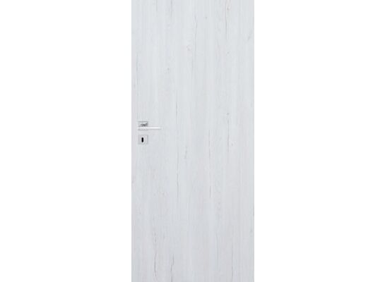 Skrzydło drzwiowe CANIS silver pełne 80 P Windoor