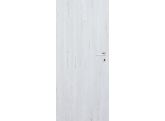 Skrzydło drzwiowe CANIS silver pełne 80 L Windoor