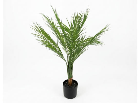 Roślina dekoracyjna w doniczce 85 cm