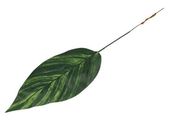 Liść pojedynczy 50 cm