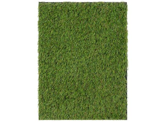 Dywan sztuczna trawa Serano 25 mm 100 x 200 cm