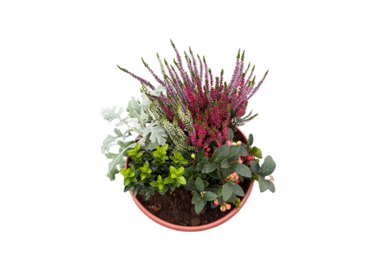 Misa Pamięci duża 32 cm