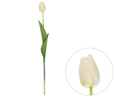 Tulipan pojedynczy na gałązce 46 cm biały