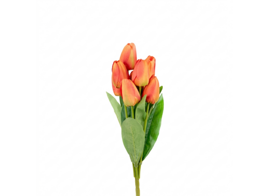 Bukiet 9 tulipanów wys. 42 cm pomarańczowy
