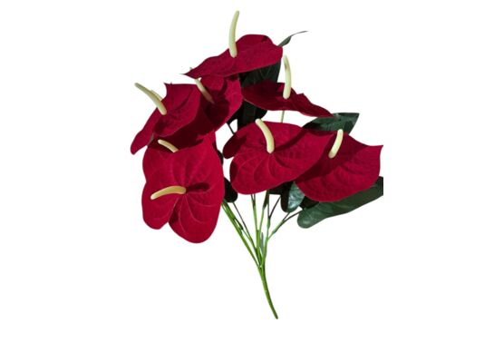 Anthurium 9 główek welur