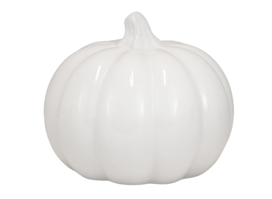 Dynia ceramiczna biała mała