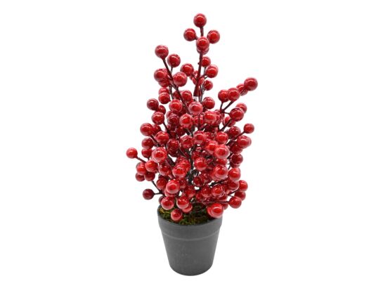 Jarzębina w doniczce 32 cm