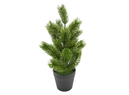 Choinka w doniczce 25 cm