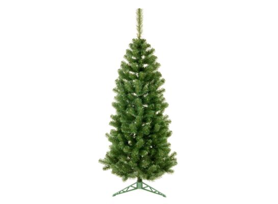 Jodła Slim 150 cm