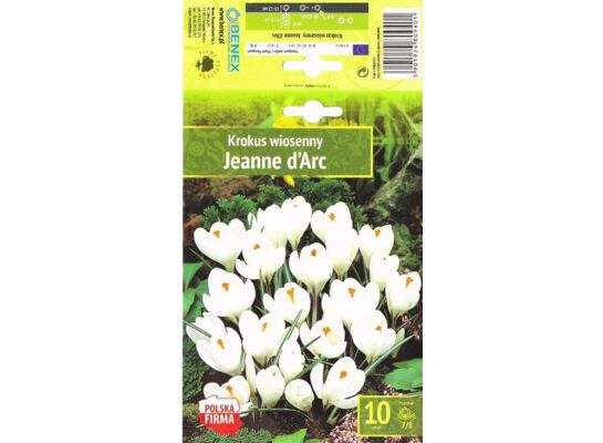 Kapers Crocus - Krokus Jeanne DArc 7/8 10 szt.