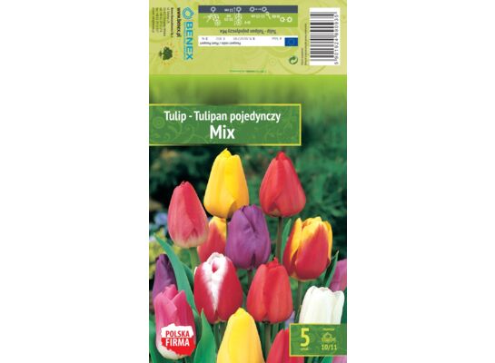 Kapers Tulip - Tulipan Pojedynczy Mix 10/11 5 szt.