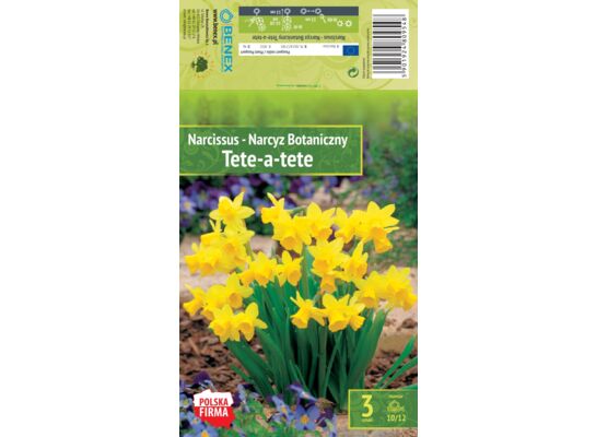 Kapers Narcissus - Narcyz Tete-A-Tete 10/12 3 szt.