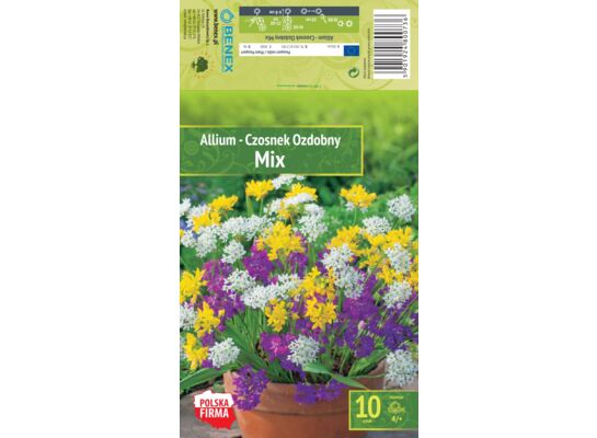 Kapers allium - czosnek mix 4/+ 10 szt.