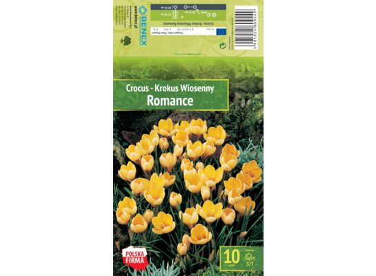 Kapers Crocus - Krokus Romance 5/7 10 szt.